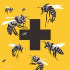 Opiekuńcze osy i pszczoły, które potrafią liczyć