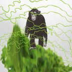 Empatyczne bonobo, modne szympansy i omamy dźwiękowe
