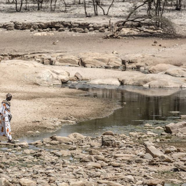A Journey with Kenya’s Shepherds Struggling Against Drought and Land Degradation