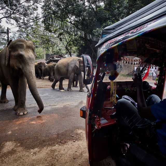 Inside elephant territory