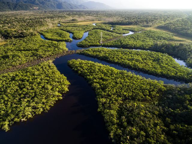 Amazon jungle under threat