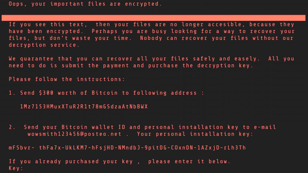 Petya Ransomware display. Computer screen with the Petya virus display. Cyber attack concept